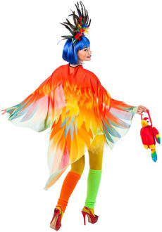 Cape Papegaai Kleurrijk Multikleur - Print