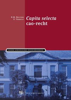 Capita selecta cao-recht - Boek Ronald Beltzer (9089746994)