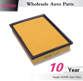 Capqx Luchtfilter 17801-38051 17801-38050 Voor Toyota Fj Cruiser, 4 Runner, land Cruiser Prado, Voor Lexus GX400 GX460