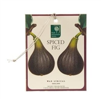 Car & Room Freshener Spiced Fig