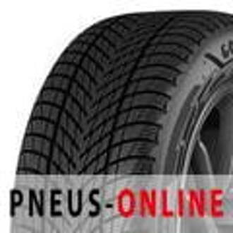 car-tyres Goodyear UltraGrip Performance 3 ( 215/65 R16 98H EVR )