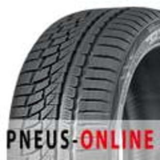 car-tyres Nokian WR A4 ( 245/40 R20 99W XL, met velgrandbescherming (MFS) )