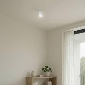 Carbon plafondlamp, wit, hoogte 10 cm, aluminium