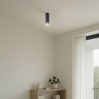 Carbon plafondlamp, zwart, hoogte 20 cm, aluminium