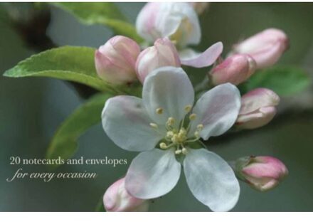 Cardbox Of 20 Notecards And Envelopes: Apple Blossom - Peony Press
