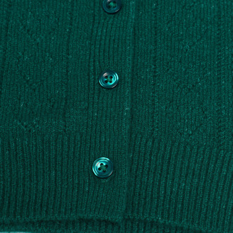 CARDI MET PUNTJES Groen