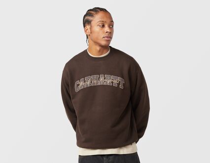 CARHARTT WIP Big School Sweatshirt, bruin