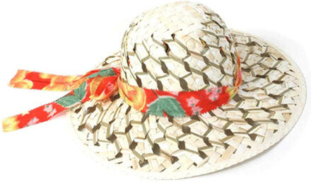 Caribische stro hoed voor dames