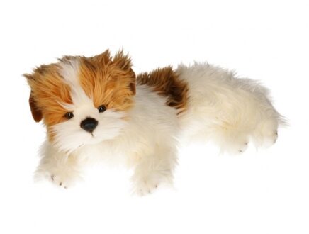 Carl Dick Pluche knuffeldier - Yorkshire terrier hond - 42 cm - bruin/wit - huisdieren knuffel Multi