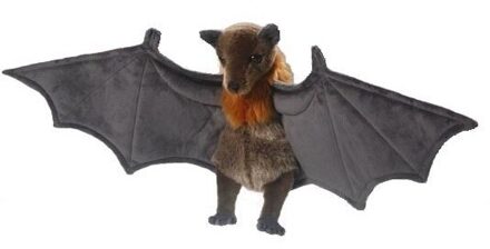 Carldick pluche vliegende hond vleermuis knuffel - 60 cm - vleermuizen - dieren