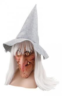 Carnaval/Halloween Heksen verkleed masker met hoed
