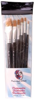 Carnaval platte schmink penselen - 6x - synthetisch - diverse formaten - professioneel