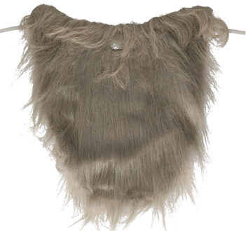 Carnaval/verkleed accessoires baard - half lang - grijs - aan elastiek - kabouter/oude man