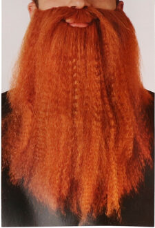 Carnaval/verkleed accessoires baard - lang - golvend - rood - aan elastiek