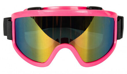 Carnaval/verkleed Apres Ski bril - roze - volwassenen - kunststof - party brillen