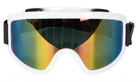 Carnaval/verkleed Apres Ski bril - wit - volwassenen - kunststof - party brillen