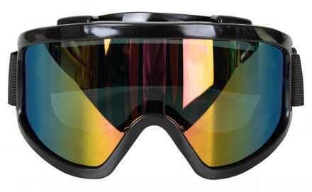 Carnaval verkleed Apres Ski bril - zwart - volwassenen - kunststof - party brillen