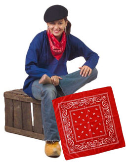 Carnaval verkleed boeren zakdoek - rood - 53 x 53 cm - themafeest - boerenlente feest