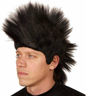 Carnaval verkleed pruik - heren - Hanekam - zwart - punkers