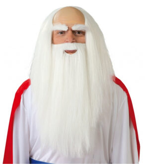 Carnaval verkleed pruik met baard - Tovenaar - lange witte haren en baard