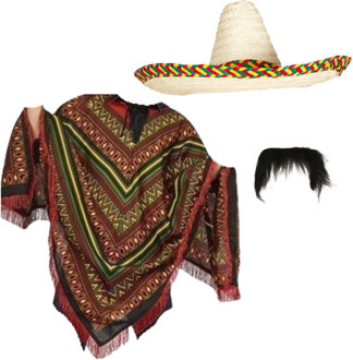 Carnaval verkleed set - Mexicaanse poncho sombrero hoed en plaksnor - gekleurd - heren