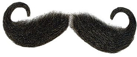 Carnaval verkleed set Soldaten -? krulsnor - 1e wereldoorlog - volwassenen