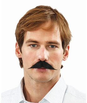 Carnaval verkleed snorren - Gentleman - zwart - zelfklevende namaak snor