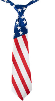 Carnaval verkleed Stropdas - vlag USA - Verenigde Staten - volwassenen - landen thema Multi