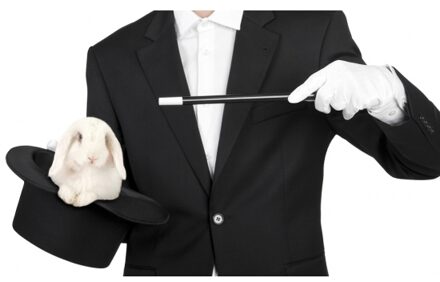 Carnaval verkleed toverstokje/toverstaf - zwart - kunststof - 33 cm