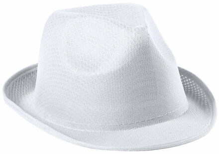 Carnaval verkleed trilby hoedje - wit - polyester - volwassenen/heren/dames