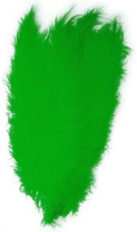 Carnaval verkleed veer/struisvogelveren - 1x - groen - 50 cm - Carnaval - Sierveren/charleston veren
