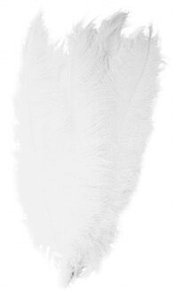 Carnaval verkleed veer/struisvogelveren - 1x - wit - 50 cm - Carnaval - Sierveren/charleston veren