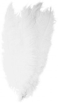 Carnaval verkleed veer/struisvogelveren - 20x - wit - 50 cm - Carnaval - Sierveren/charleston veren