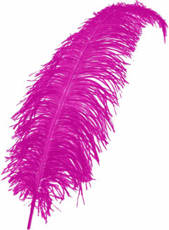 Carnaval verkleed veer/struisvogelveren - roze - 50 cm - Carnaval - Sierveren/charleston veren