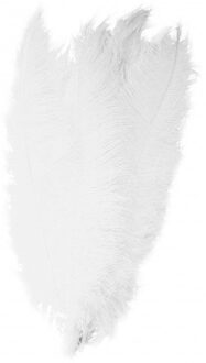 Carnaval verkleed veer/struisvogelveren - wit - 50 cm - Carnaval - Sierveren/charleston veren