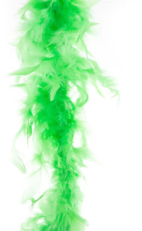 Carnaval verkleed veren Boa kleur fluor groen 2 meter