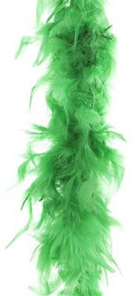 Carnaval verkleed veren Boa - kleur groen - 2 meter - Verkleed boa