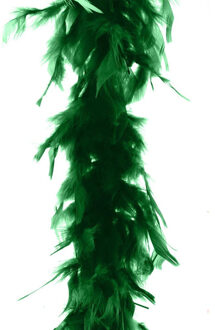 Carnaval verkleed veren Boa - kleur groen - 2 meter - Verkleedkleding accessoire