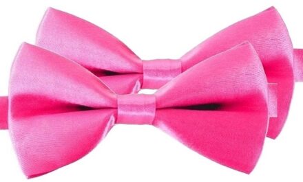 Carnaval verkleed vlinderstrikje - 2x - roze - 12 cm - voor dames/heren - strikken - kleding