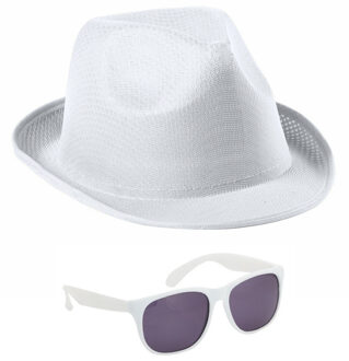 Carnaval verkleedkleding set - hoedje en party zonnebril - wit - volwassenen