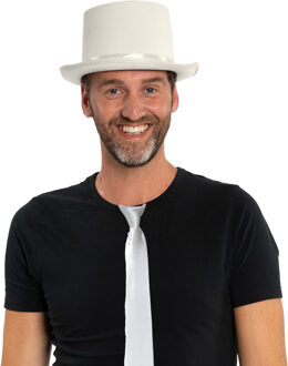 Carnaval verkleedset hoed en stropdas - wit - volwassenen/unisex - feestkleding accessoires
