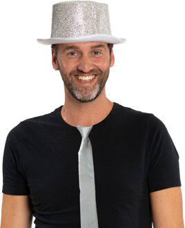 Carnaval verkleedset hoed en stropdas - zilver - volwassenen/unisex - feestkleding accessoires