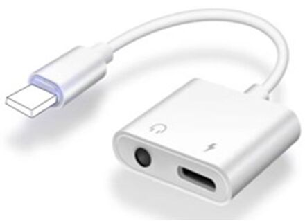 CarPoint 2 In 1 Adapter Usb-c > Aux & Usb-c