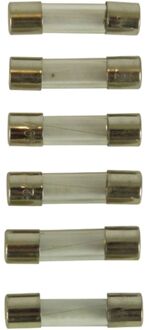 CarPoint Radiozekering 2A 6 Stuks