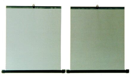 CarPoint rolgordijn 45 x 58 cm zwart 2 stuks