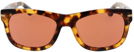 Carrara Classic Zonnebril Bruin