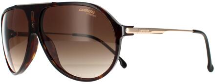 Carrera Aviator Mens Dark Havana Brown Gradiënt Hot65 - maat Bruin