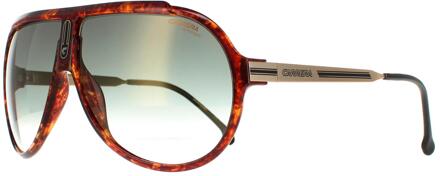 Carrera Piloten unisex Havana Groente Gradiënt met gouden spiegel uithoudingsvermogen 65/n Bruin