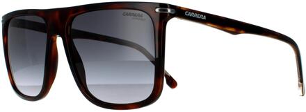 Carrera zonnebril 278/s 086 9o Dark Havana Darkgrijs gradiënt Bruin - One Size