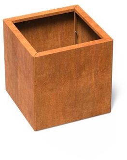 Carrez Connect cortenstaal 60 x 60 x h. 60 cm plantenbak